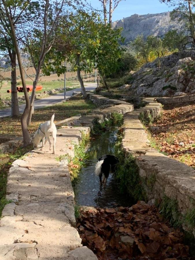 Villa Remedios Cuevas del Becerro Exteriér fotografie